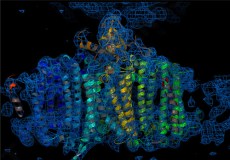 BTN_A_000113746_O_F_167660a